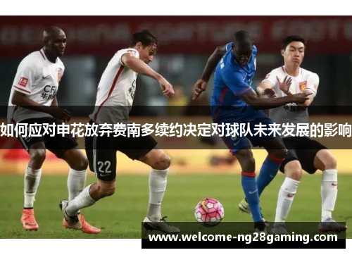 如何应对申花放弃费南多续约决定对球队未来发展的影响