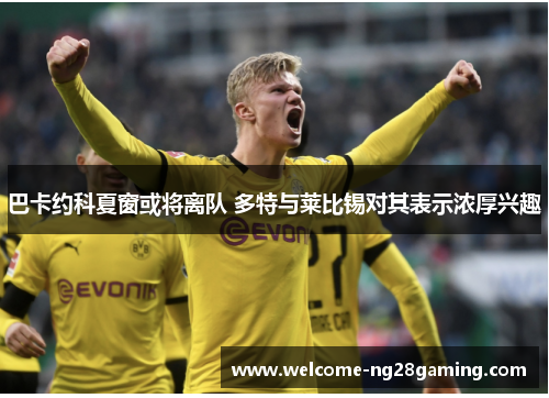 巴卡约科夏窗或将离队 多特与莱比锡对其表示浓厚兴趣