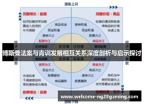 博斯曼法案与青训发展相互关系深度剖析与启示探讨