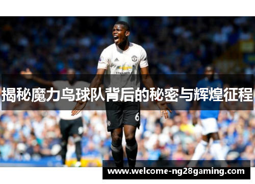 揭秘魔力鸟球队背后的秘密与辉煌征程
