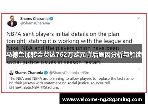 马德鲁加转会费达762万欧元背后原因分析与解读