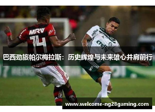 巴西劲旅帕尔梅拉斯：历史辉煌与未来雄心并肩前行